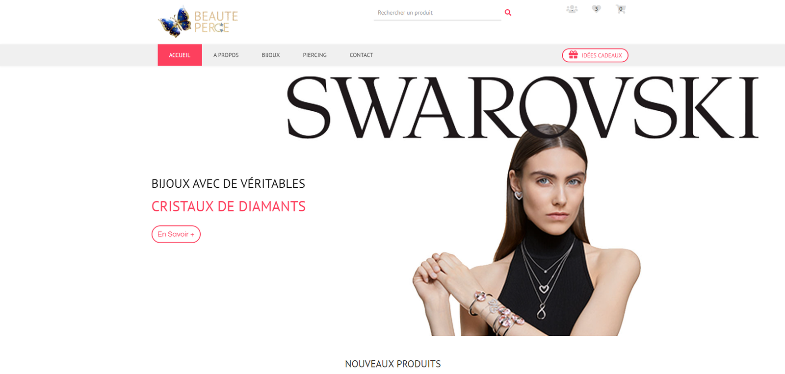 Site internet développé par Nicolas Rub