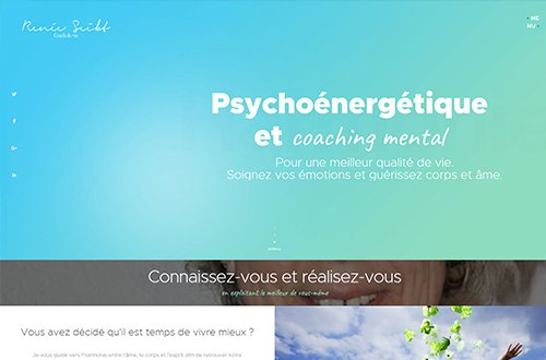 Site internet développé par Nicolas Rub